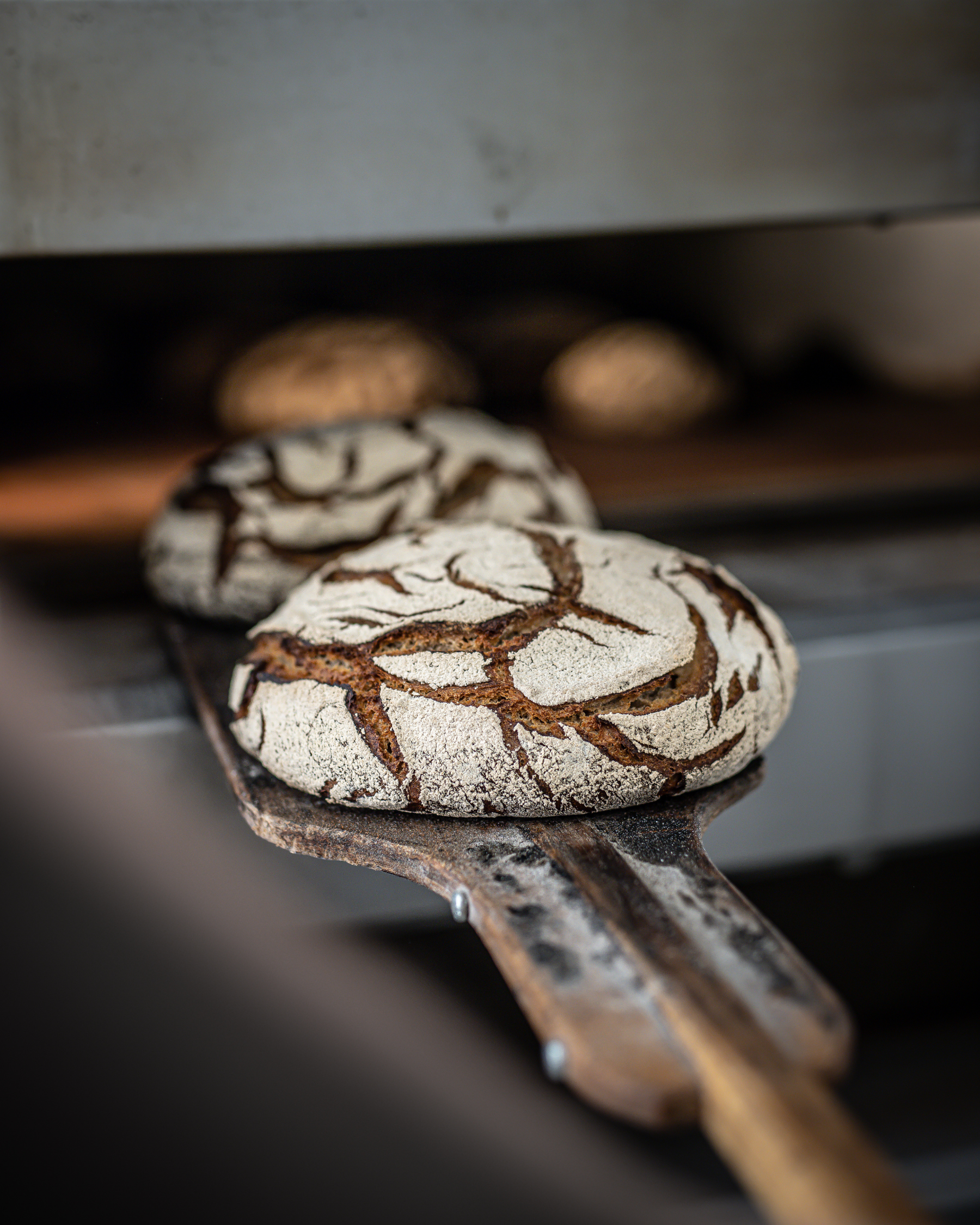Pain de campagne cuit au four traditionnel