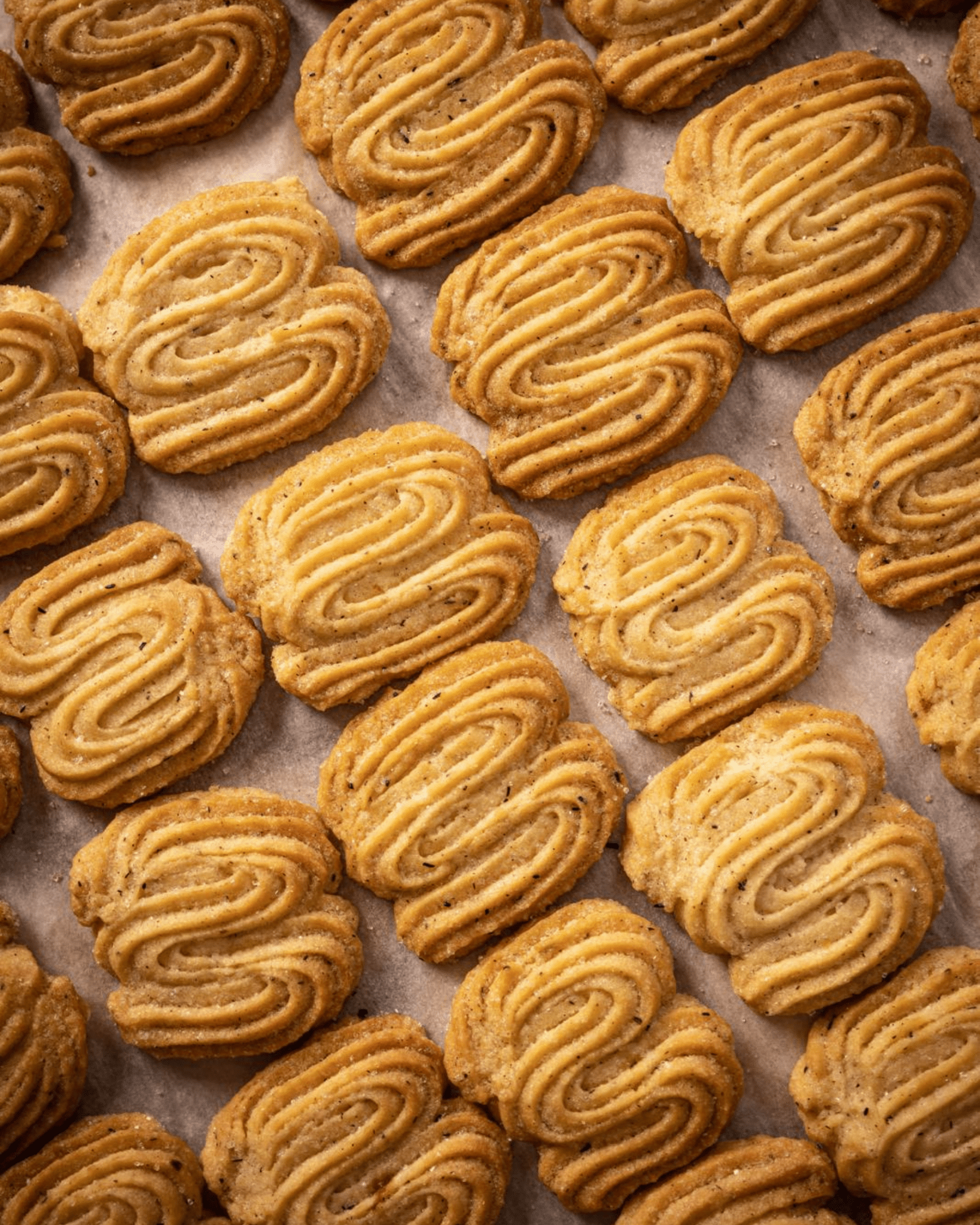 Spritz à la Vanille - Bulle